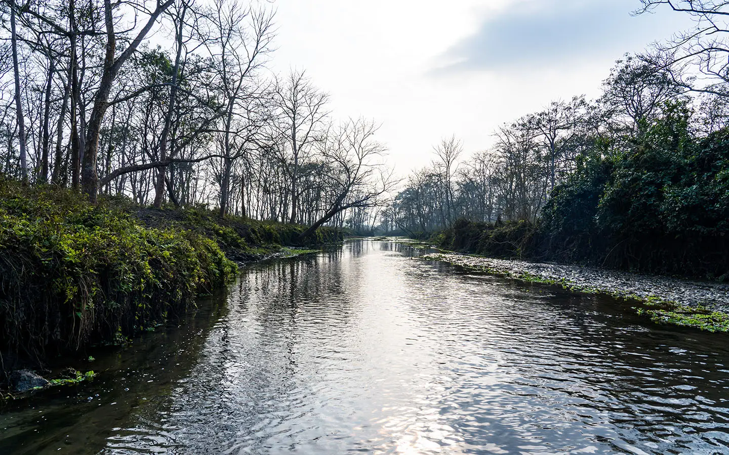 River landscape view